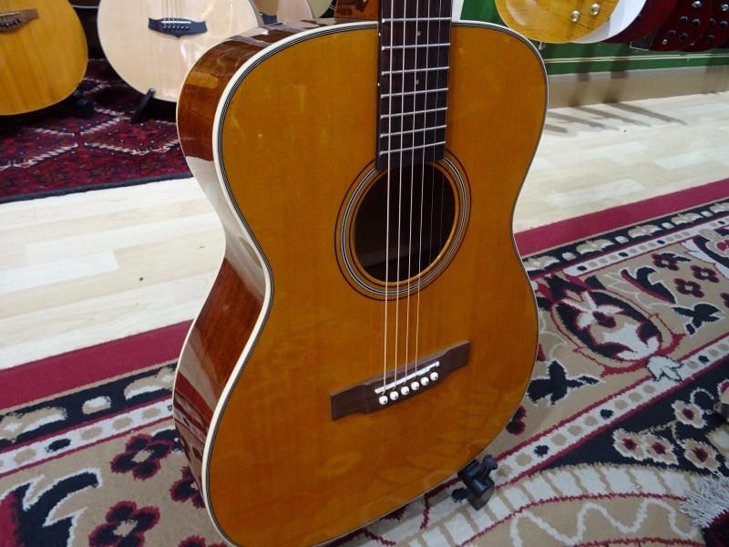 The Little Guitar Shop Acoustic Guitars