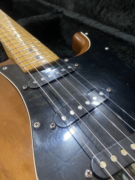 Fender Stratocaster 1979 Walnut